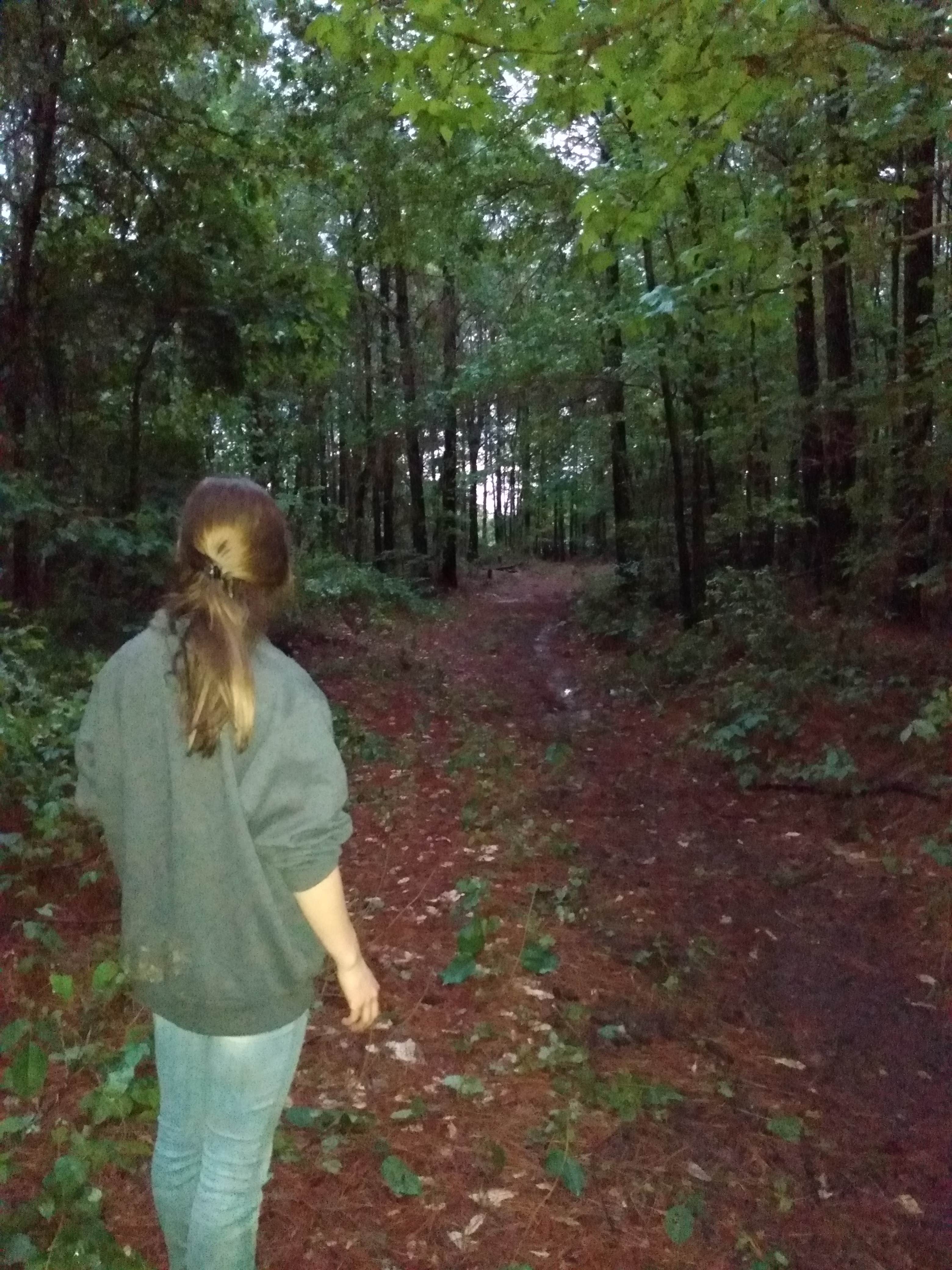 Camper-submitted photo at Somerville Park near Hartselle, AL