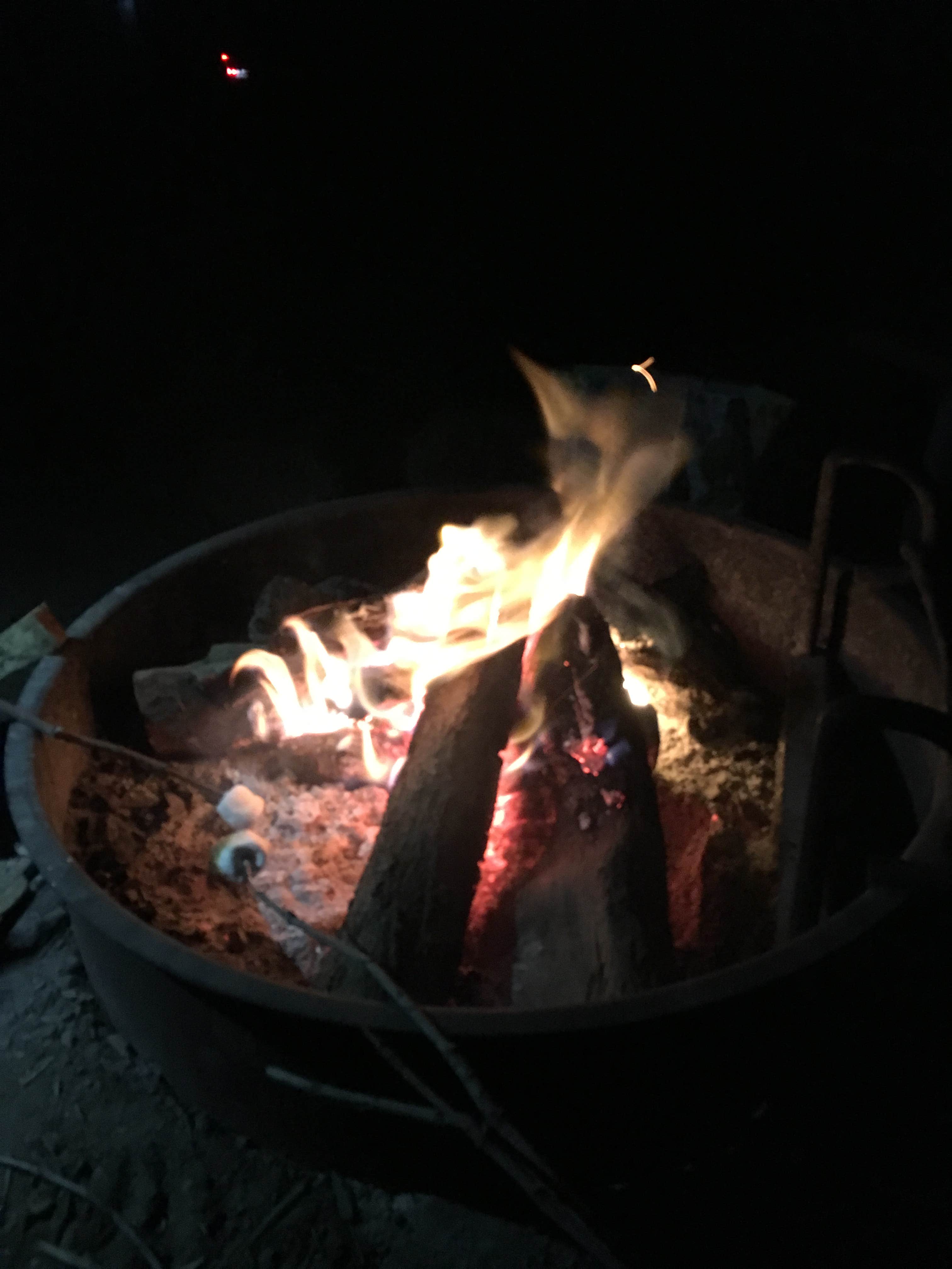 Camper submitted image from Crane Flat Campground — Yosemite National Park - 3