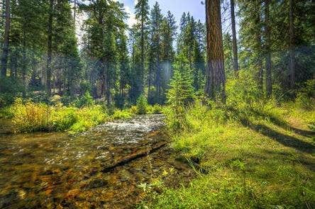 Jack Creek Campground



Credit: