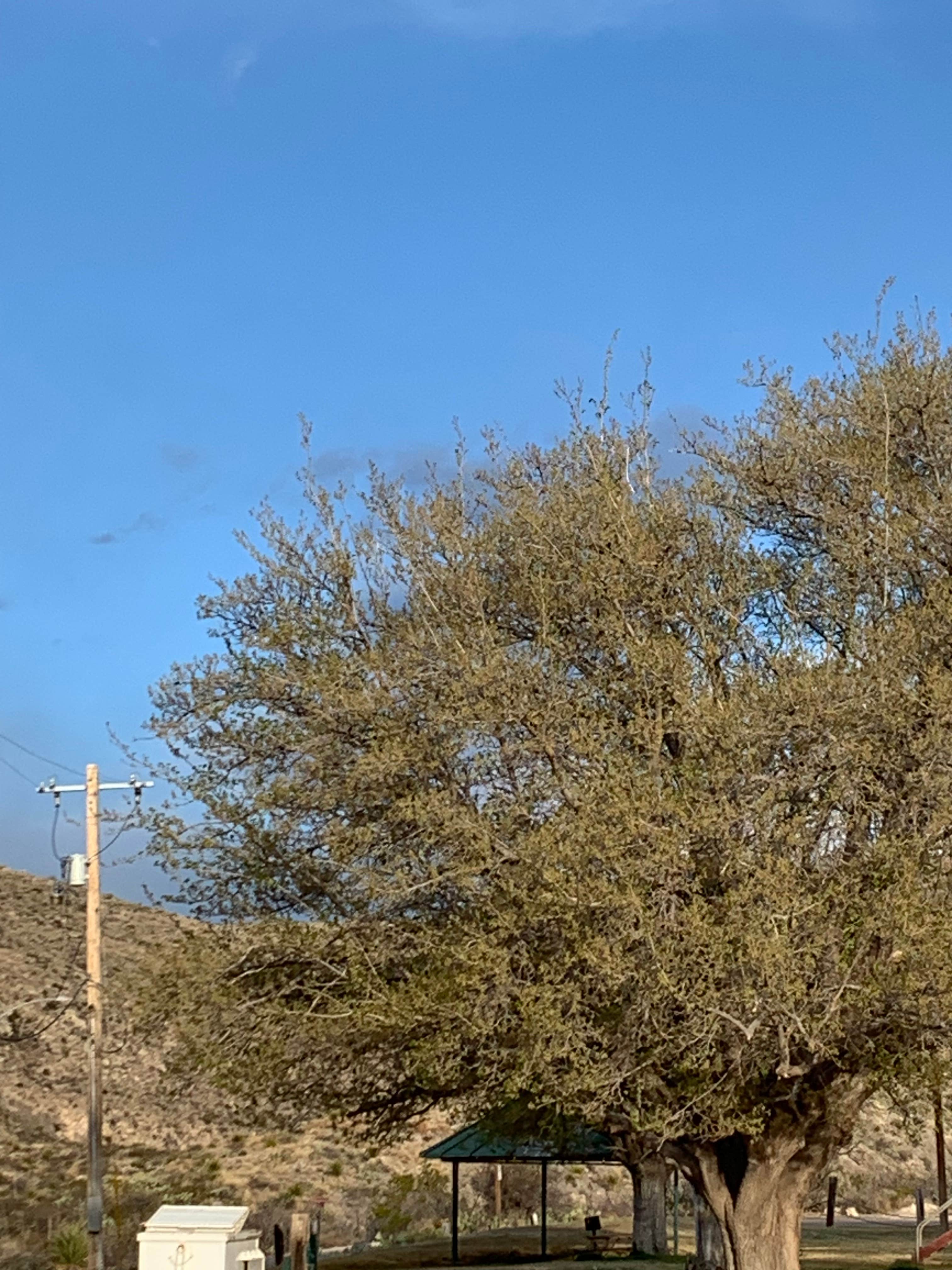 Camper-submitted photo at Whites City RV Park near Whites City, NM