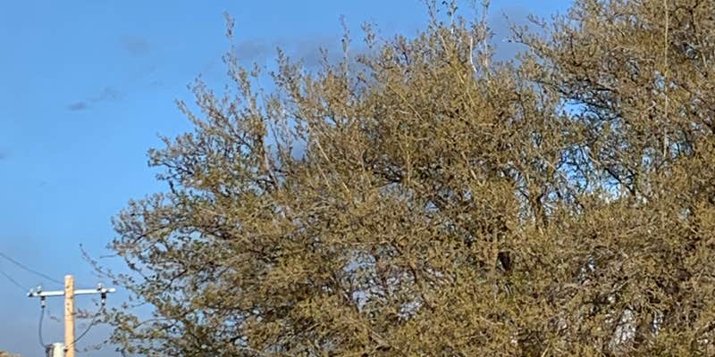 Camper submitted image from Whites City RV Park