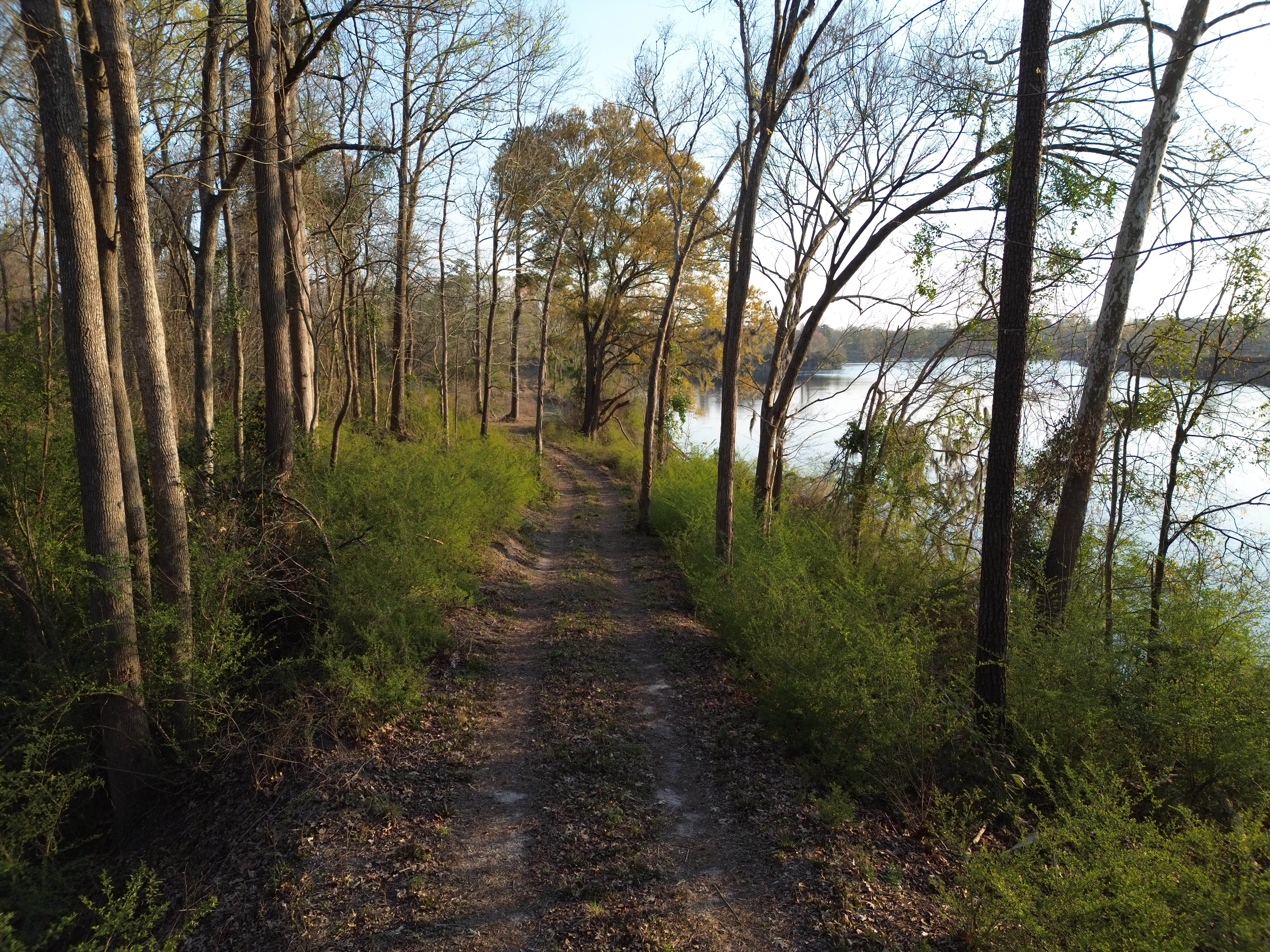 Camper-submitted photo at The Lakes RV & Cabin Resort near Bridgeton, NC
