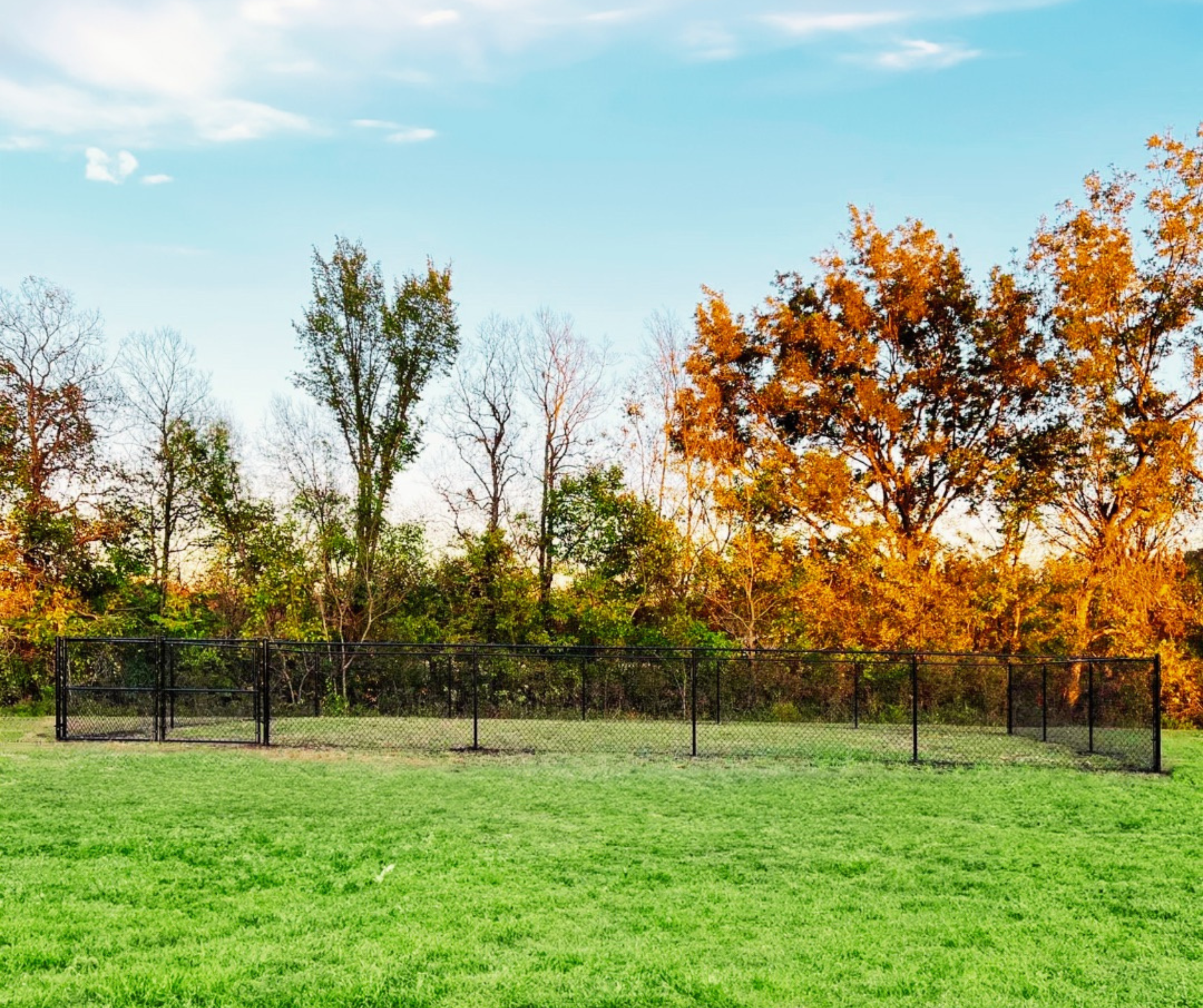 Camper-submitted photo at Smokey Ridge RV Park near Oologah, OK