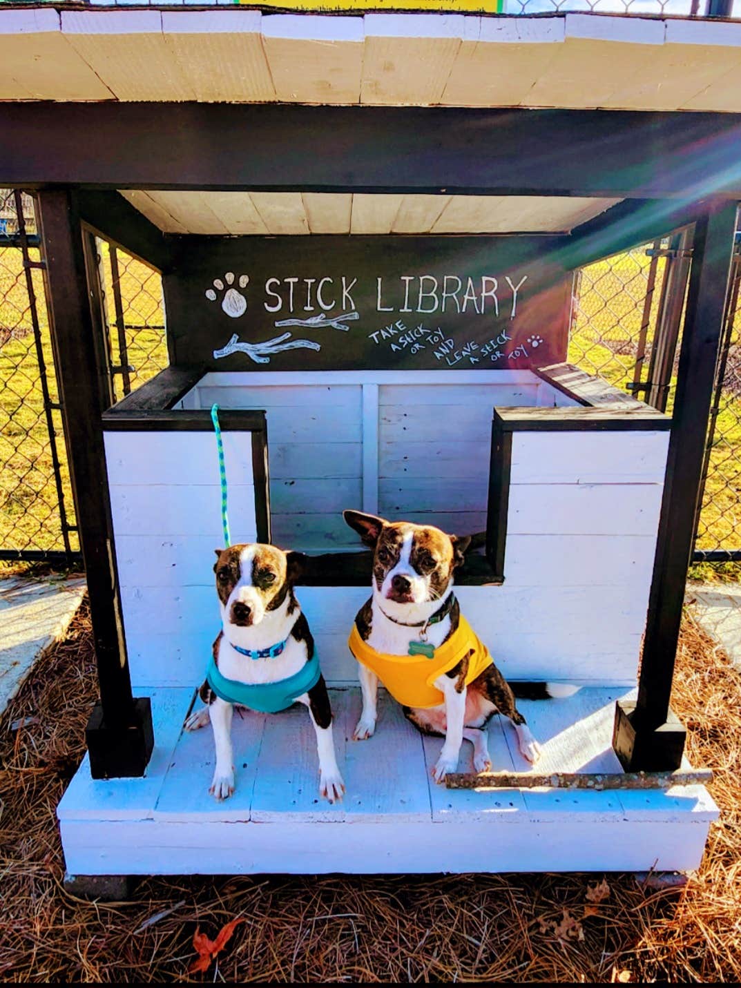 Erin F.'s photo of camping with pets at Savannah Lakes RV Resort near Hardeeville, SC