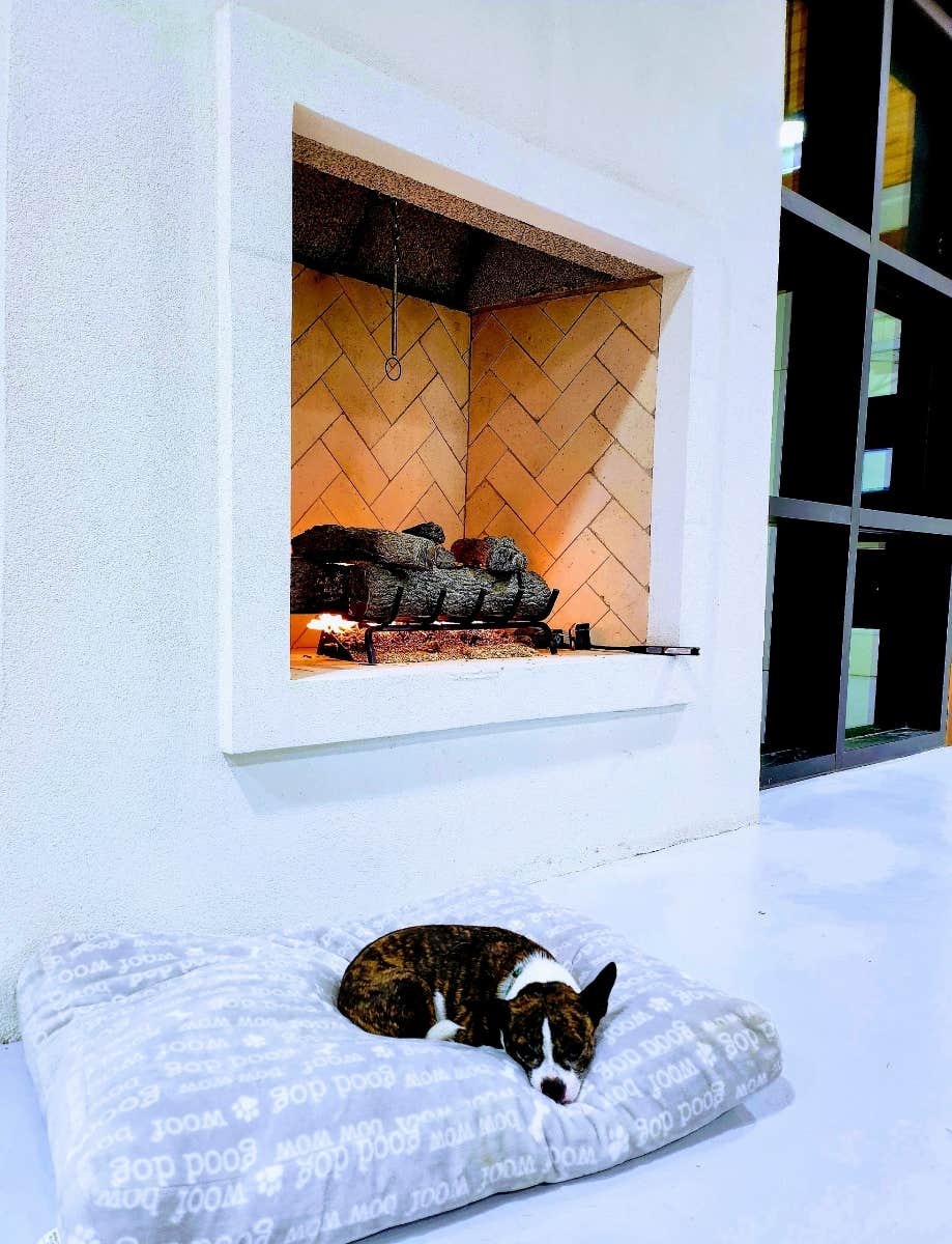 Erin F.'s photo of camping with pets at Savannah Lakes RV Resort near Hampton, SC