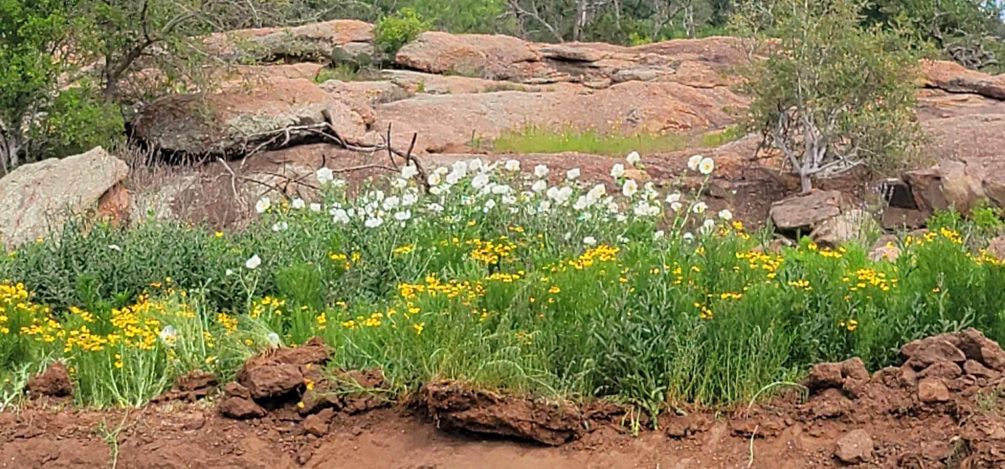 Camper-submitted photo at Wendelfull Life Ranch near Castell, TX