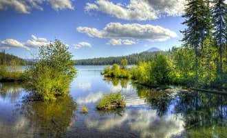Camping near Big Lake: Link Creek, Camp Sherman, Oregon