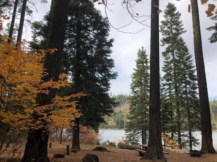Link Creek Campground in Fall



Credit: USFS
