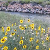 Review photo of Five Points Campground — Arkansas Headwaters Recreation Area by Paul A., April 9, 2016