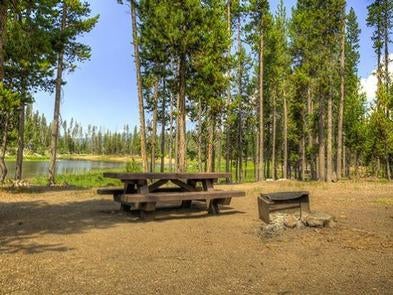Camper submitted image from Little Fawn Campground - 1