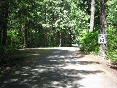 Camper submitted image from Mount Hood National Forest Lockaby Campground - TEMP CLOSED DUE TO FIRE DAMAGE - 1