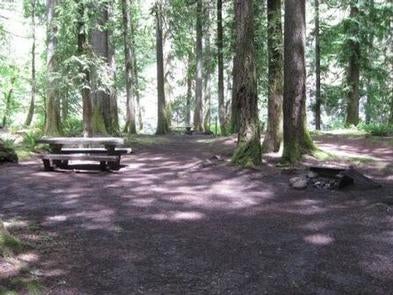 Camper submitted image from Mount Hood National Forest Lockaby Campground - TEMP CLOSED DUE TO FIRE DAMAGE - 3