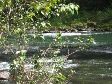 Camper submitted image from Mount Hood National Forest Lockaby Campground - TEMP CLOSED DUE TO FIRE DAMAGE - 4