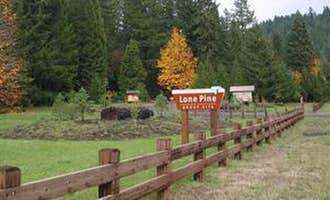 Camping near Rock Creek: Lone Pine Group Campground, Idleyld Park, Oregon