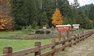 Camping near Cavitt Creek Falls: Lone Pine Group Campground, Idleyld Park, Oregon