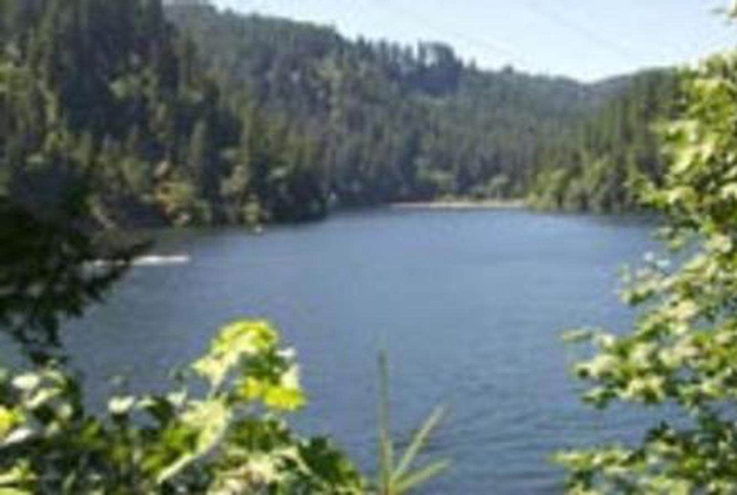 Loon Lake Recreation Site The Dyrt