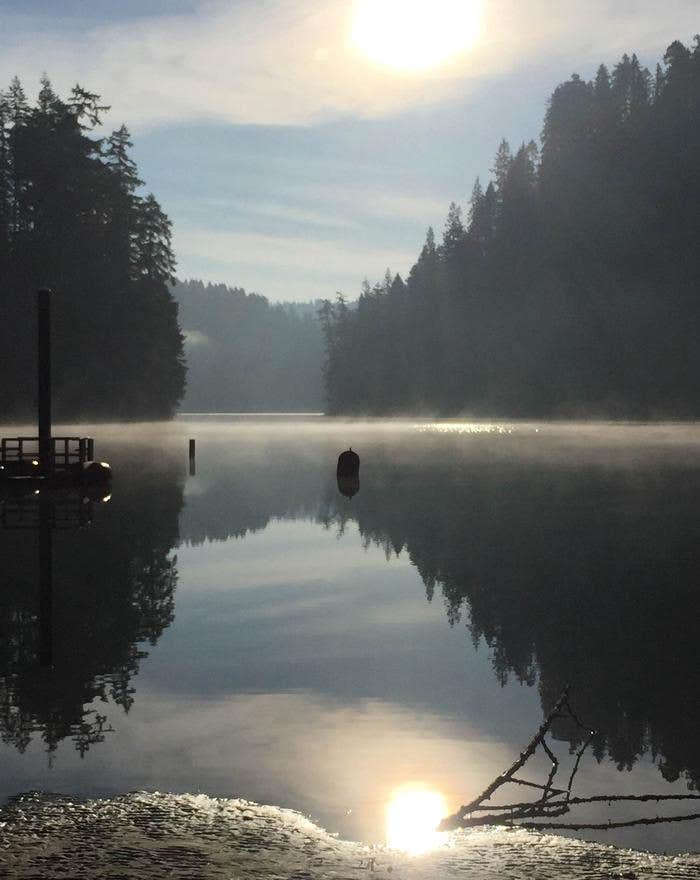 Loon Lake Recreation Site The Dyrt