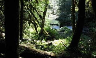 Camping near McNeil Campground: Mount Hood National Forest Lost Creek Campground, Government Camp, Oregon