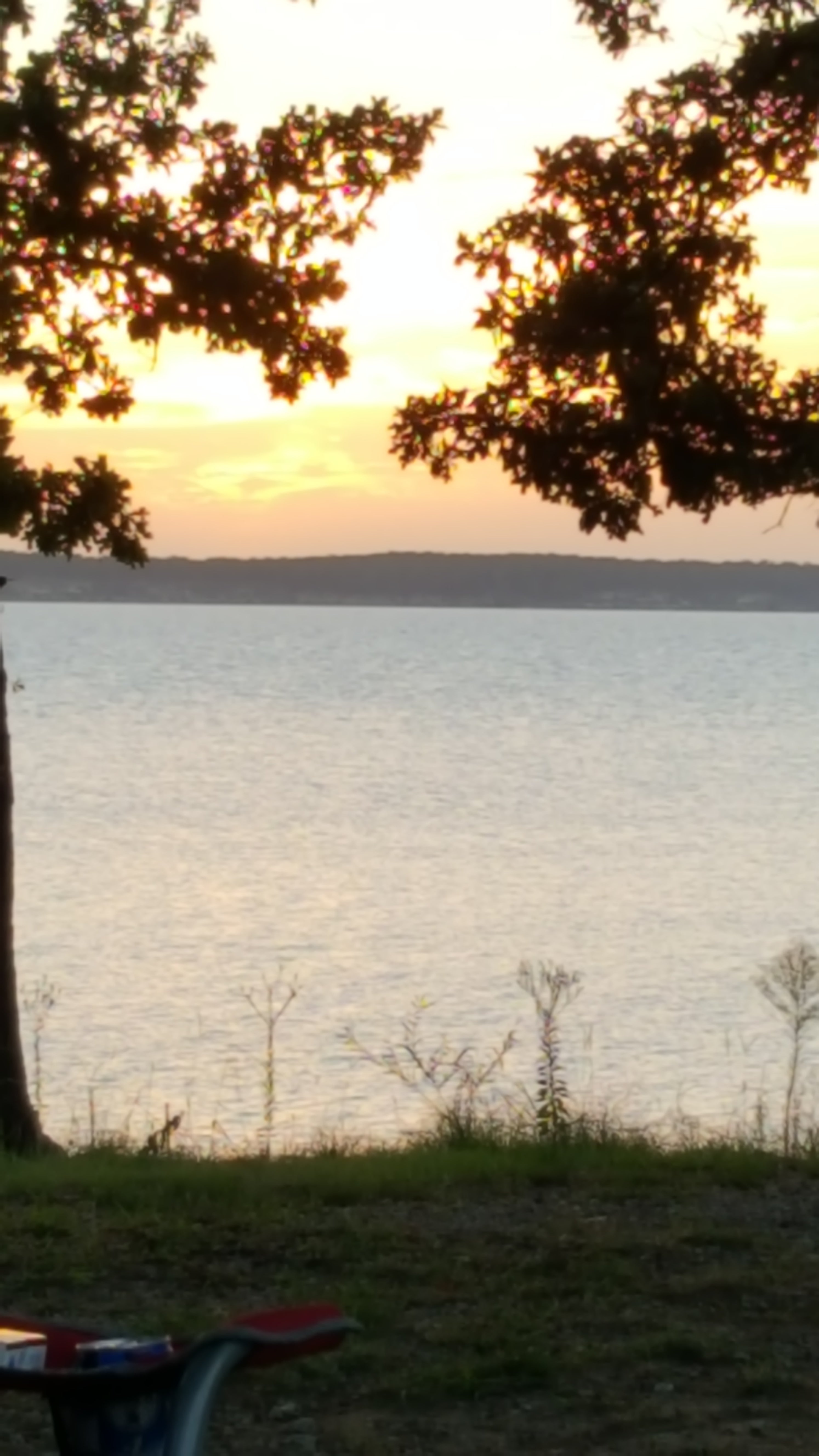 Camper submitted image from COE Lake Texoma Burns Run West - 3