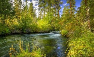Camping near Cold Springs Resort: Lower Canyon Creek Campground, Camp Sherman, Oregon