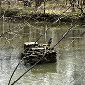 Review photo of Spring Mill State Park Campground by Bob C., April 13, 2024