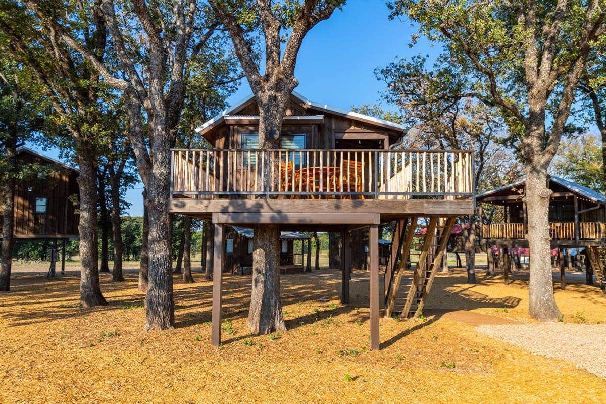Camper submitted image from Cedar Waxwing Treehouse(15 MIN to Magnolia/Baylor) - 1