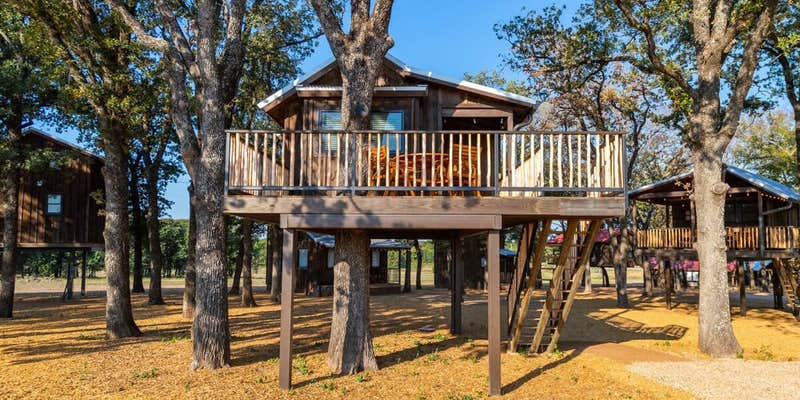 Camper submitted image from Cedar Waxwing Treehouse(15 MIN to Magnolia/Baylor)
