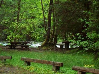 Camper-submitted photo at Mckenzie Bridge near Willamette National Forest