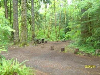 Camper submitted image from Mckenzie Bridge - 3