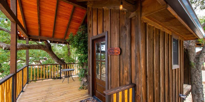 Camper submitted image from The Starling Treehouse 15 MIN to Magnolia & Baylor