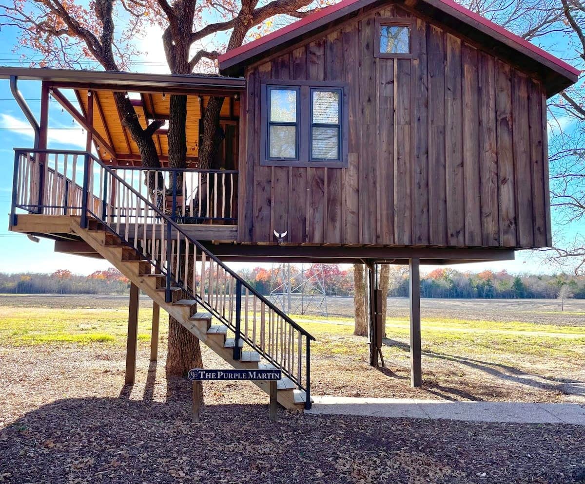 Camper submitted image from The Purple Martin 15MIN to Magnolia & Baylor - 1
