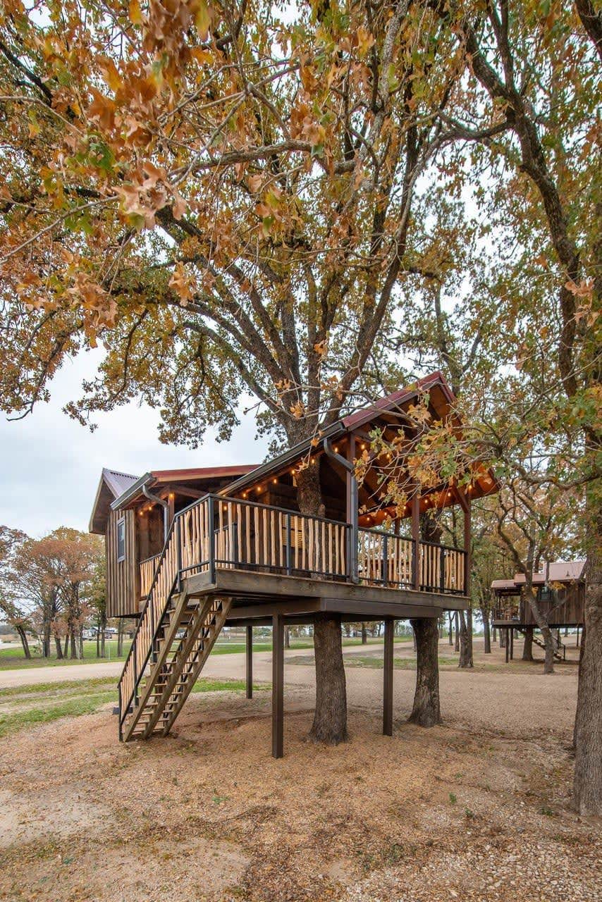 Camper submitted image from The Chickadee Treehouse 15MIN to Magnolia & Baylor - 1