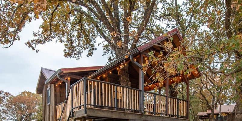 Camper submitted image from The Chickadee Treehouse 15MIN to Magnolia & Baylor