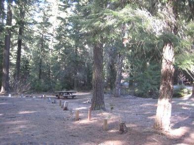 Camper submitted image from Rogue River National Forest North Fork Campground - 2