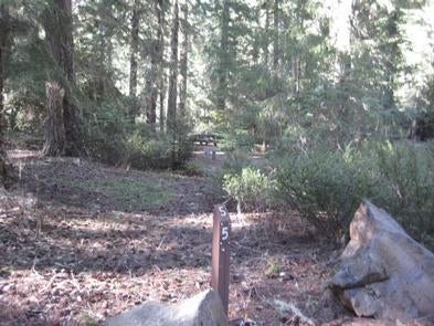 Camper submitted image from Rogue River National Forest North Fork Campground - 4