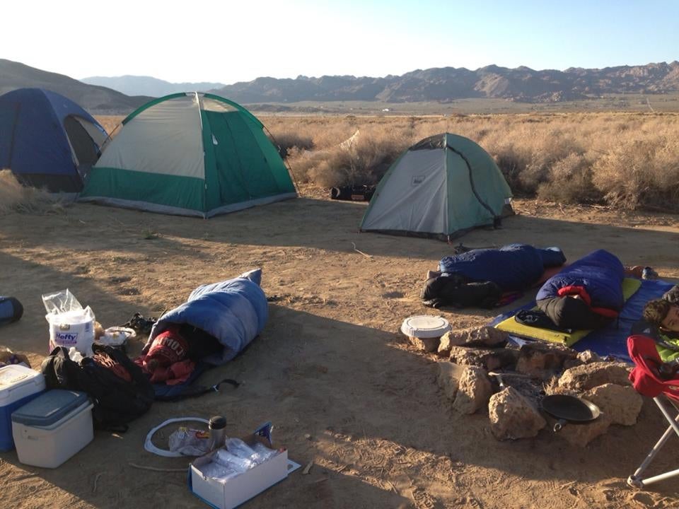 Camper submitted image from Joshua Tree South - BLM Dispersed - 4