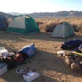 Review photo of Joshua Tree South - BLM Dispersed by Kathleen L., September 13, 2016