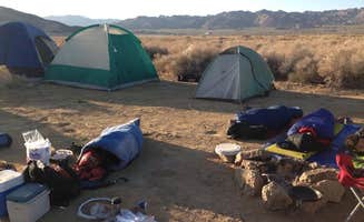 Kathleen L.'s photo at Joshua Tree South - BLM Dispersed near Salton City, CA