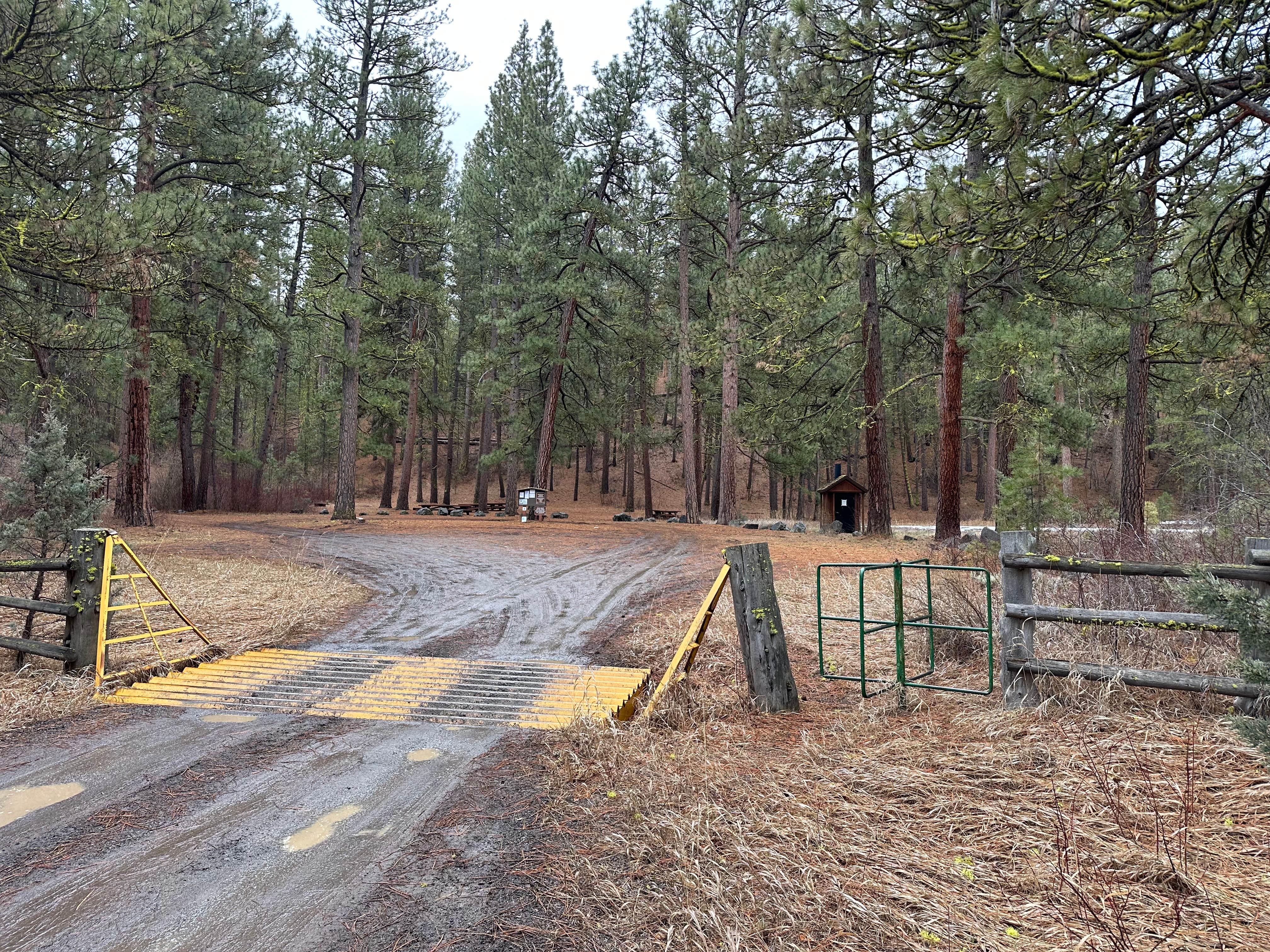 Camper-submitted photo at Drews Creek near Lakeview, OR