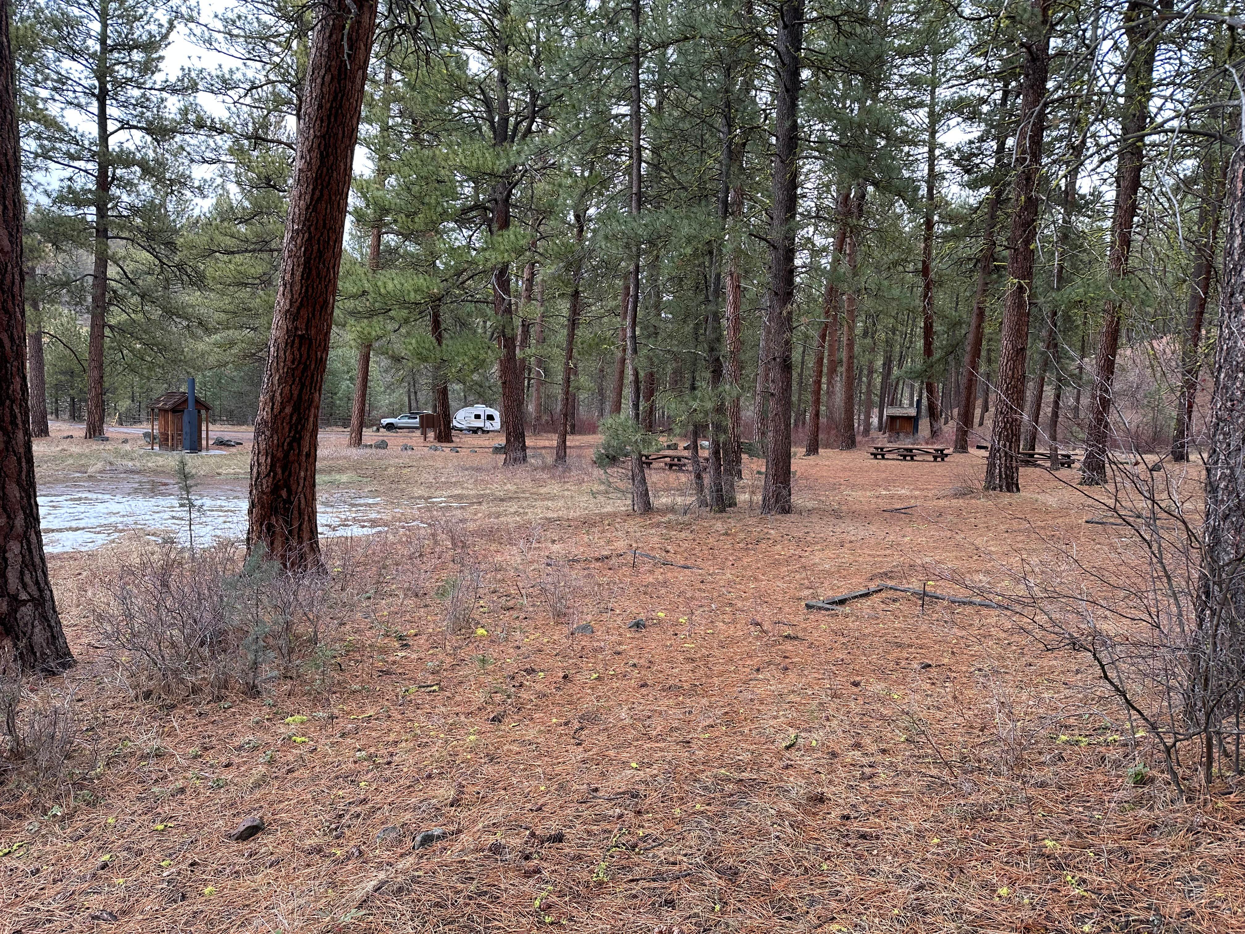 Camping near Mile High Trailer and RV Park: Drews Creek, Lakeview, Oregon