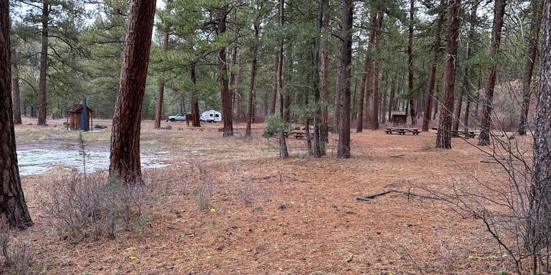 Camper submitted image from Drews Creek