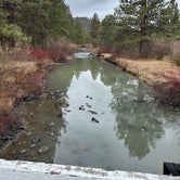 Review photo of Drews Creek by Bill T., April 14, 2024
