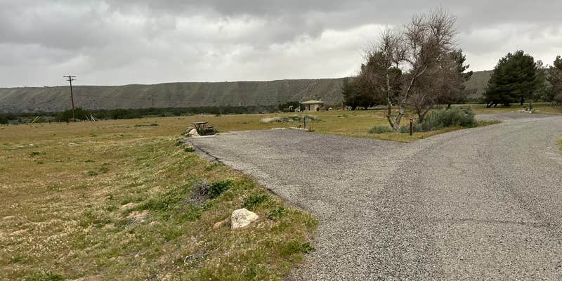 Camper submitted image from Mojave River Forks Regional Park