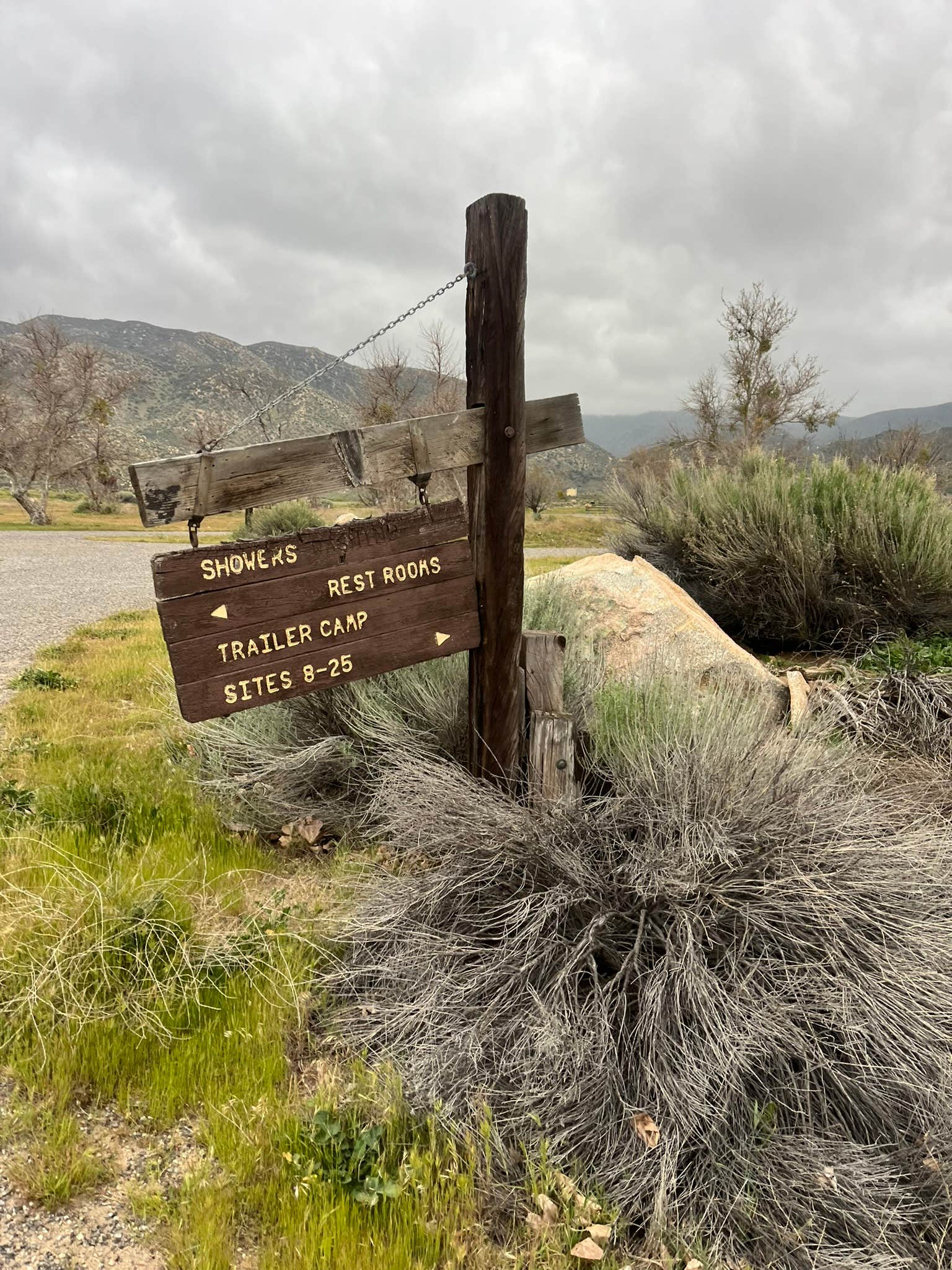 Camper submitted image from Mojave River Forks Regional Park - 4