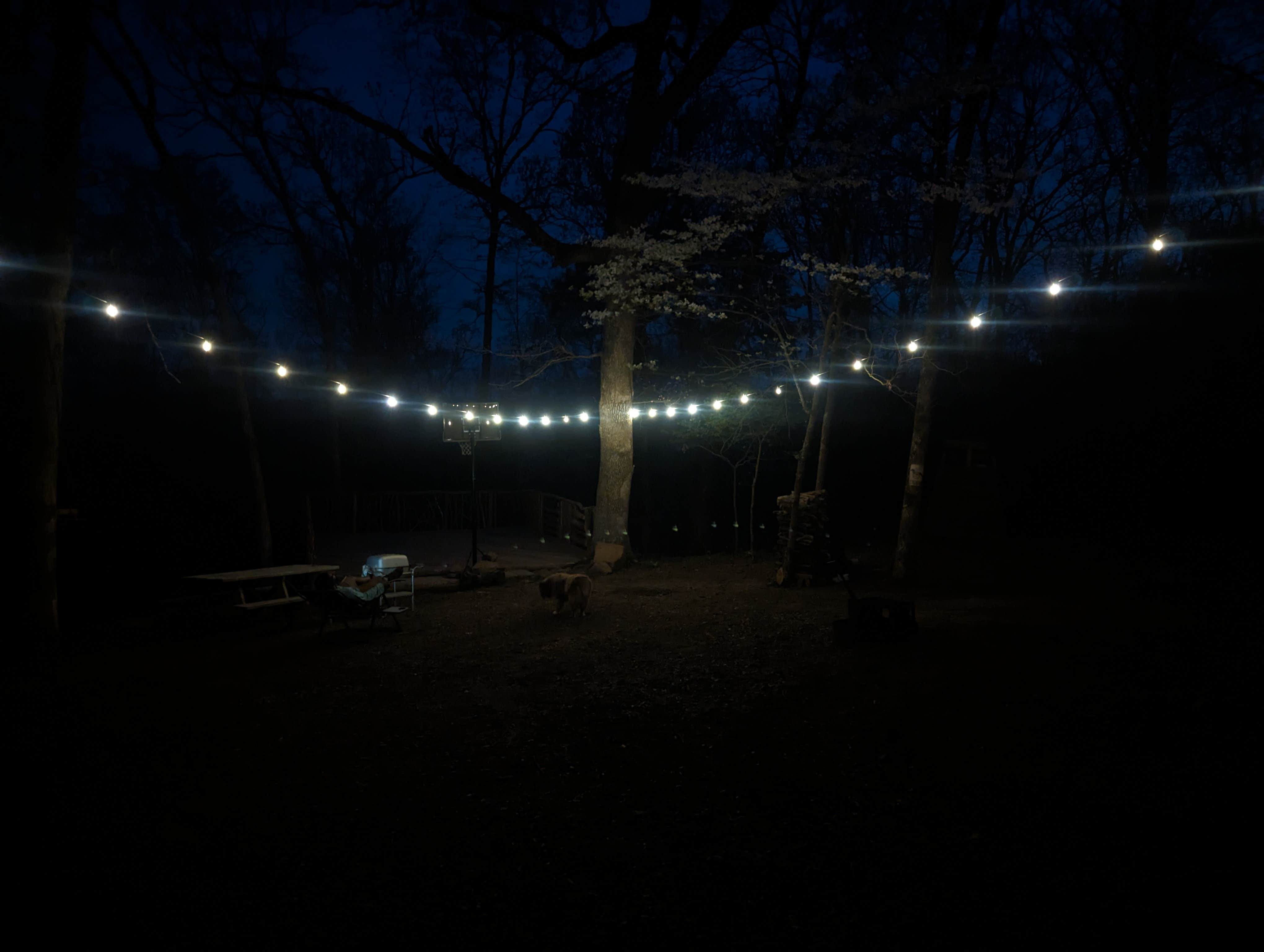 ashli C.'s photo of camping with pets at Miracle Mountain Homestead near Bunch, OK