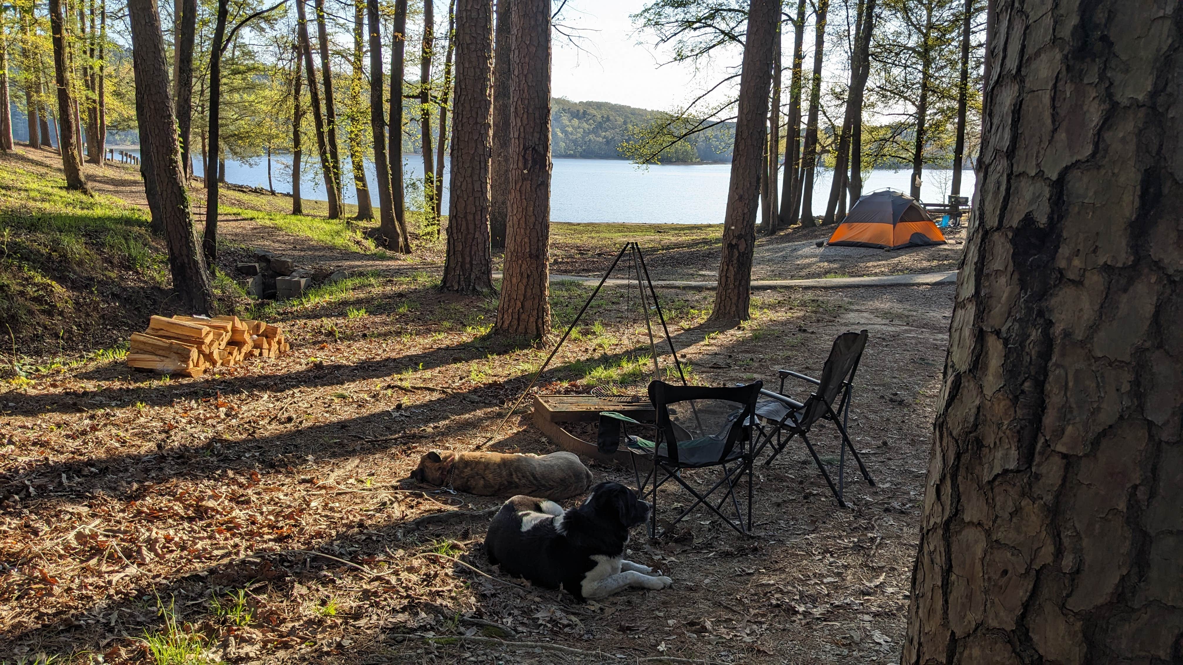 Ode2joy's photo at Daisy State Park Campground near Dierks, AR