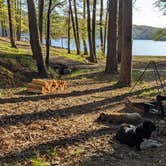 Review photo of Daisy State Park Campground by Ode2joy , April 15, 2024