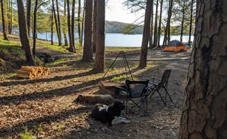 Ode2joy's photo at Daisy State Park Campground near Dierks Lake
