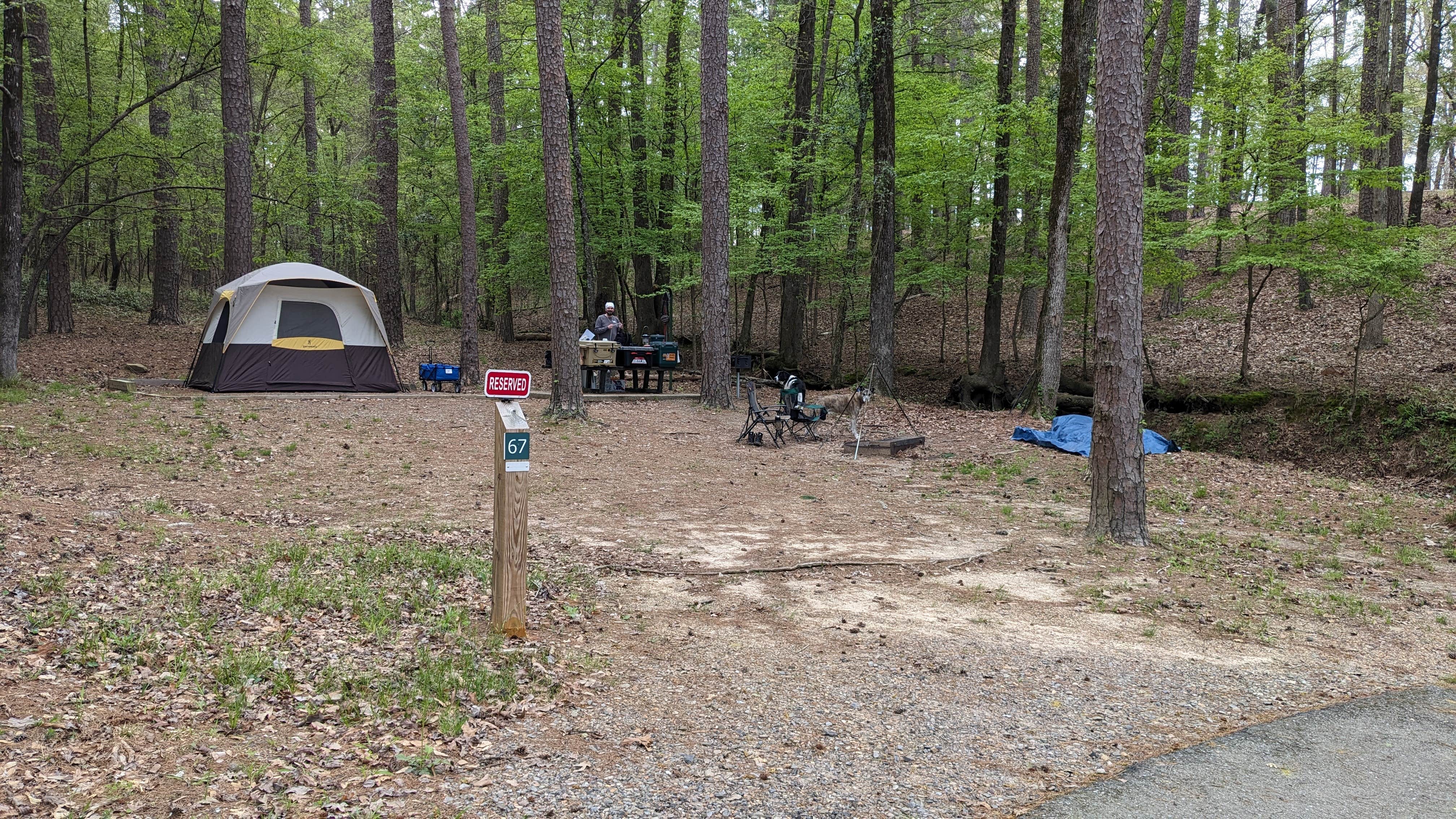 Ode2joy's photo at Daisy State Park Campground near Dierks, AR