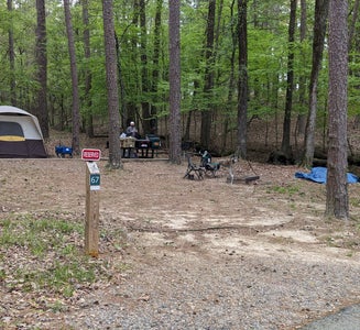 Camper-submitted photo from Daisy State Park Campground